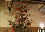 IMG_3767 (853x1280).jpg (87899 bytes)